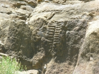 A Very Old Petroglyph